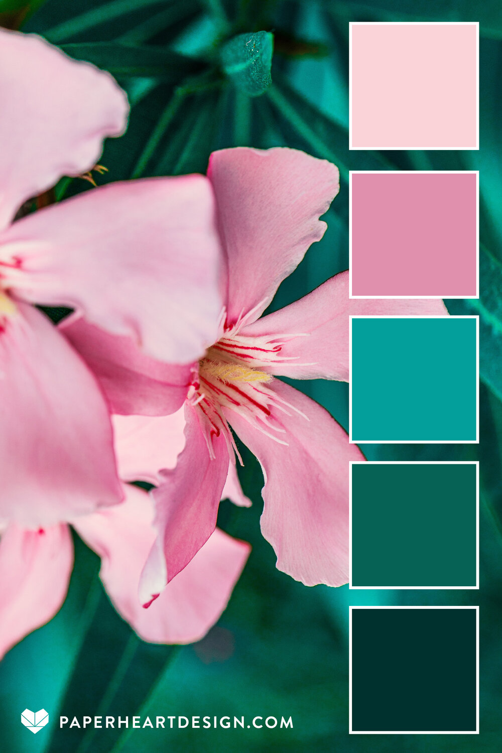 Color Palette: Pretty in Pink — Paper Heart Design