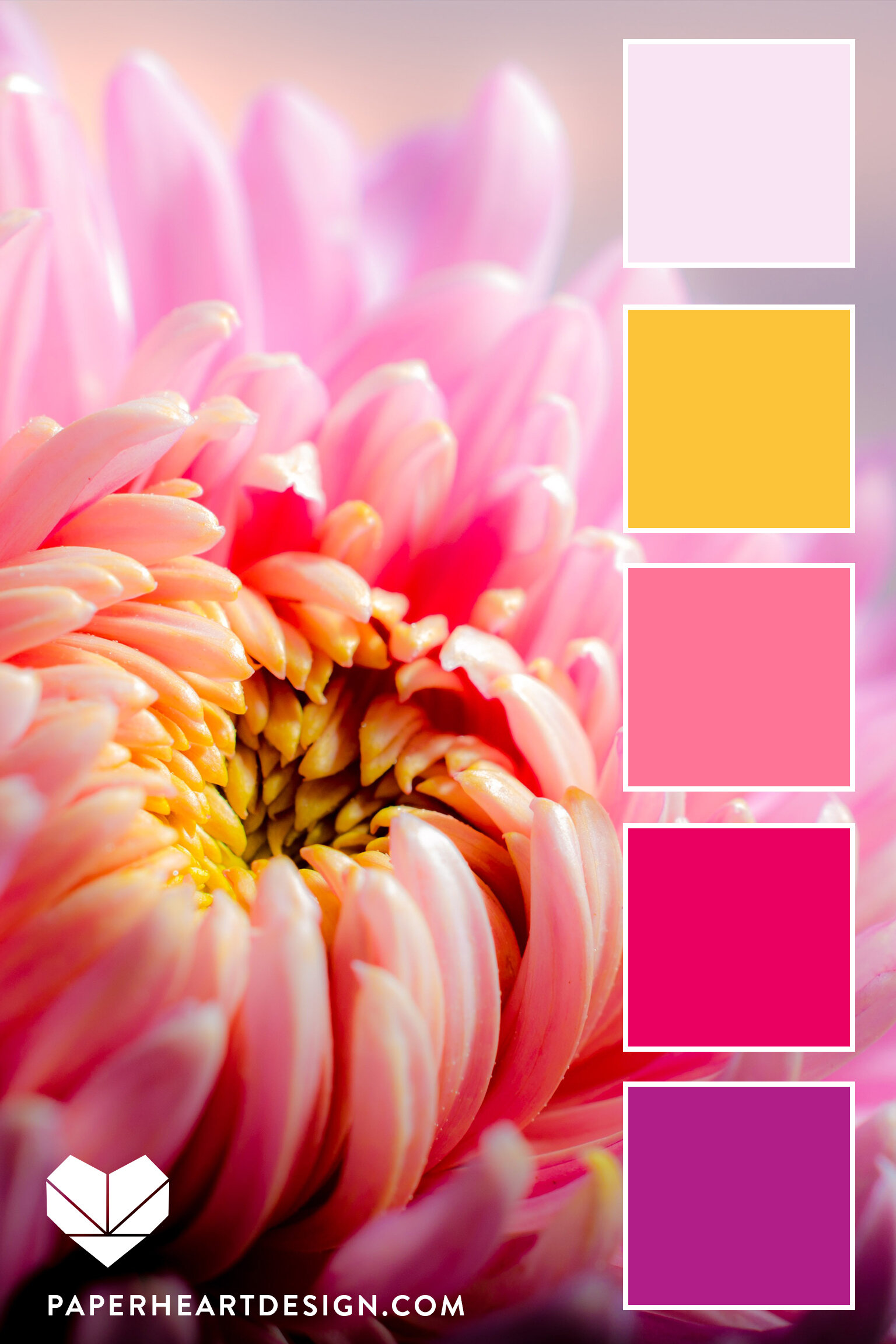 Color Palette: Pretty in Pink — Paper Heart Design