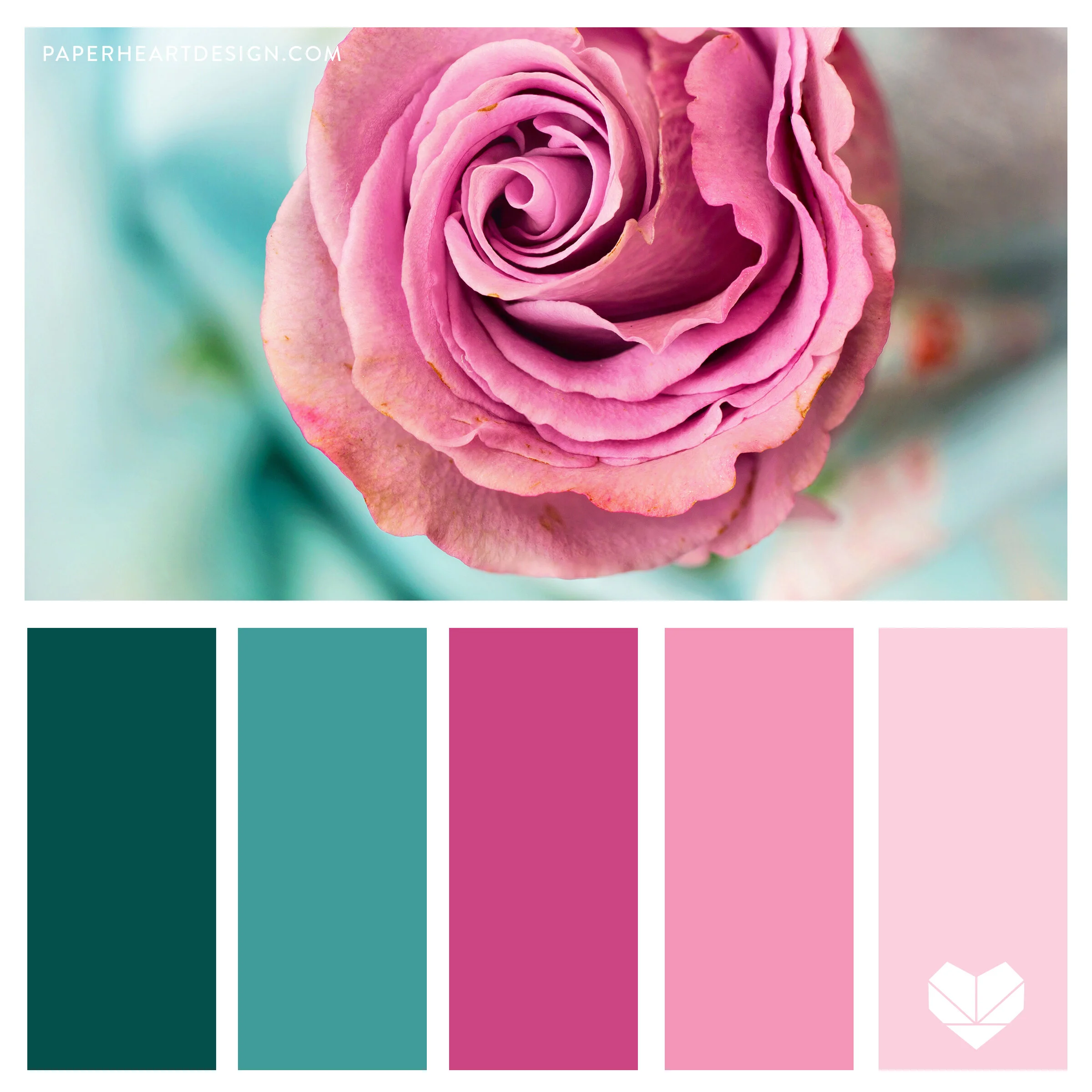 Pink Color Palette Aesthetic : 25+ Best Colors That Go With Pink: Pink ...