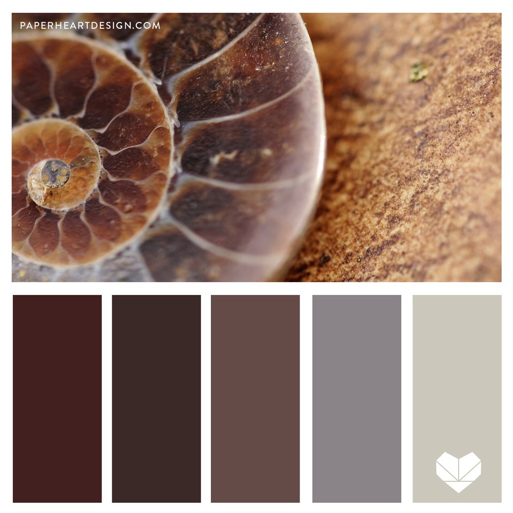 Color Palette: She Sells Sea Shells — Paper Heart Design