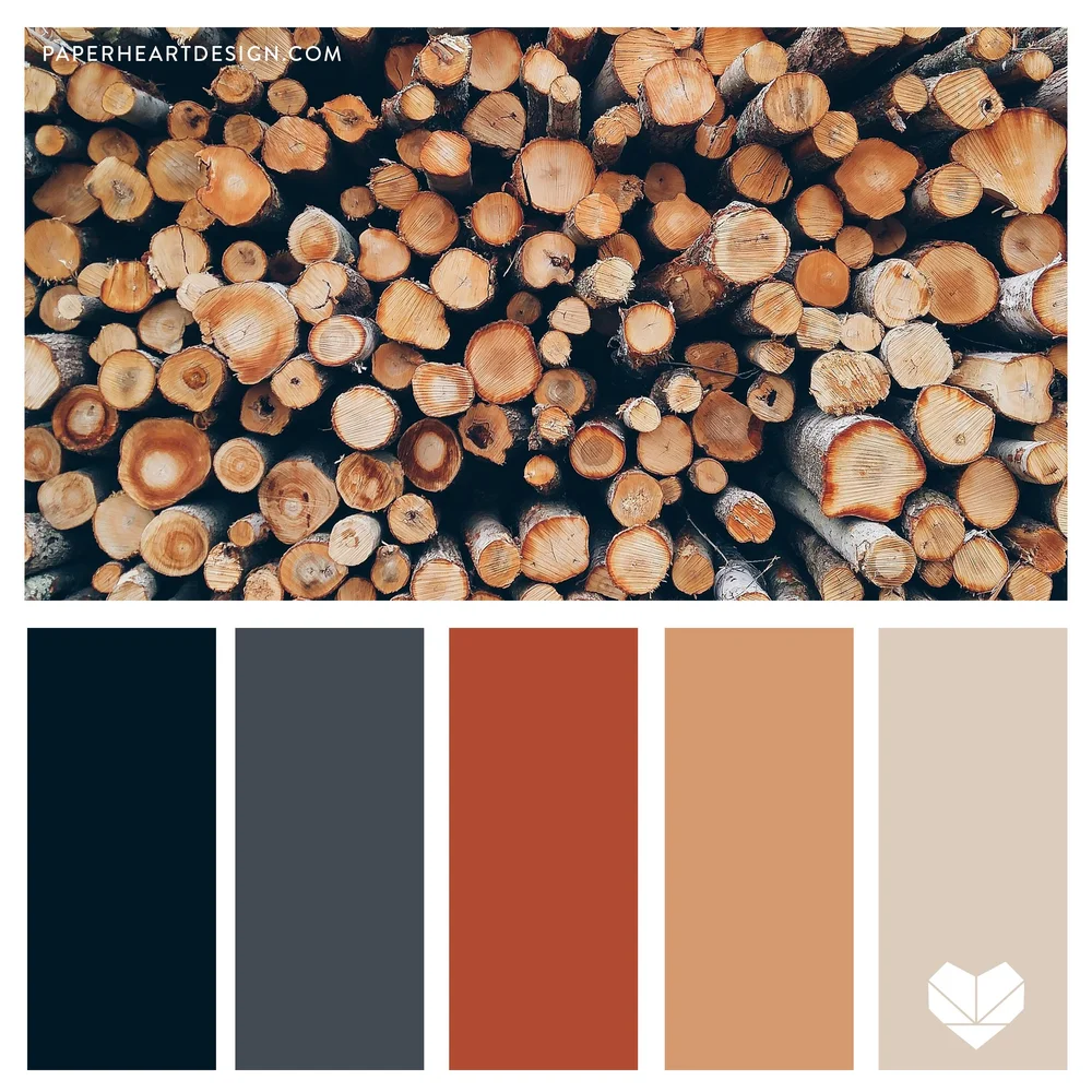 Color — Blog — Paper Heart Design Co.