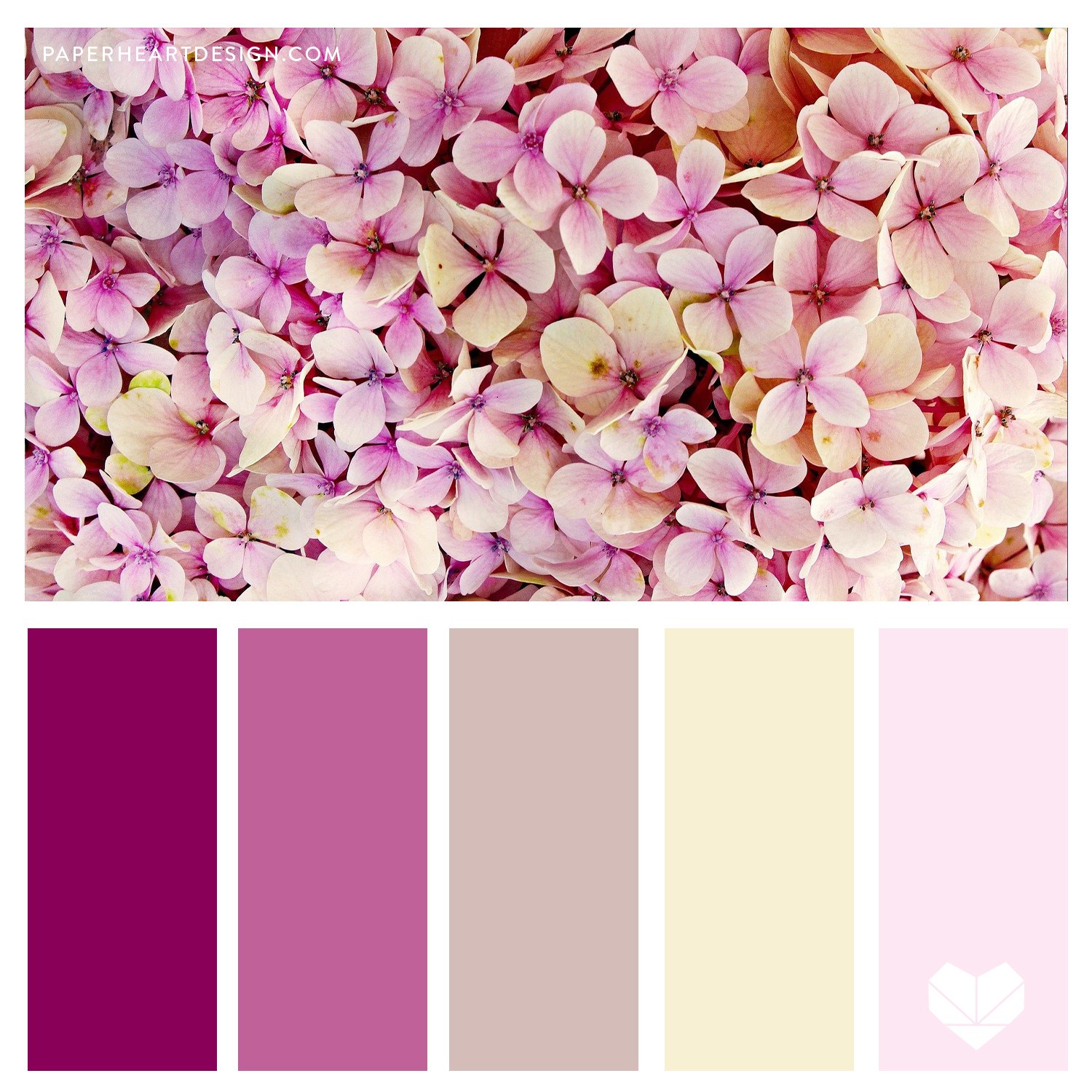 Hydrangeas Pink Pale.jpg