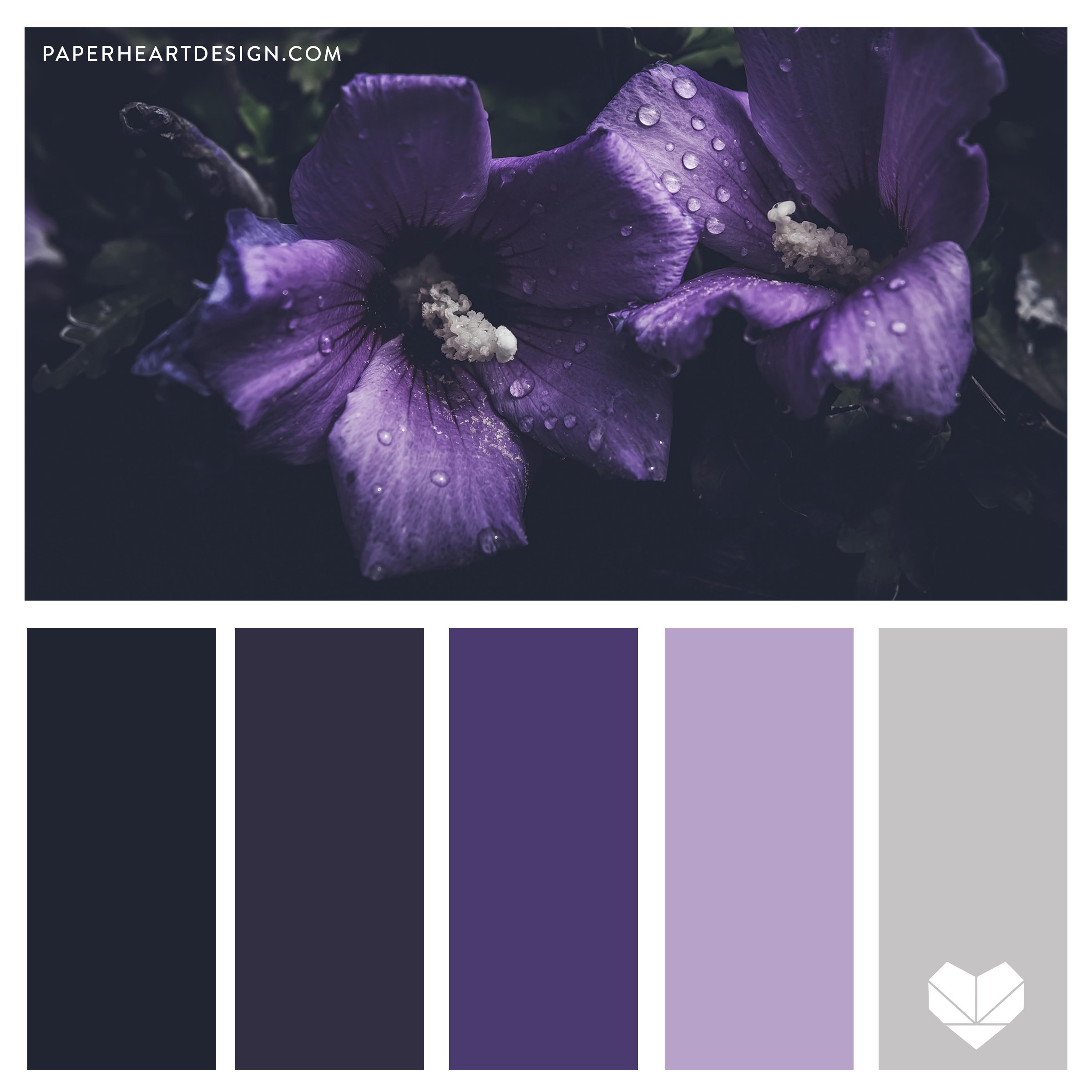 Moody Purple Flower SQ.jpg
