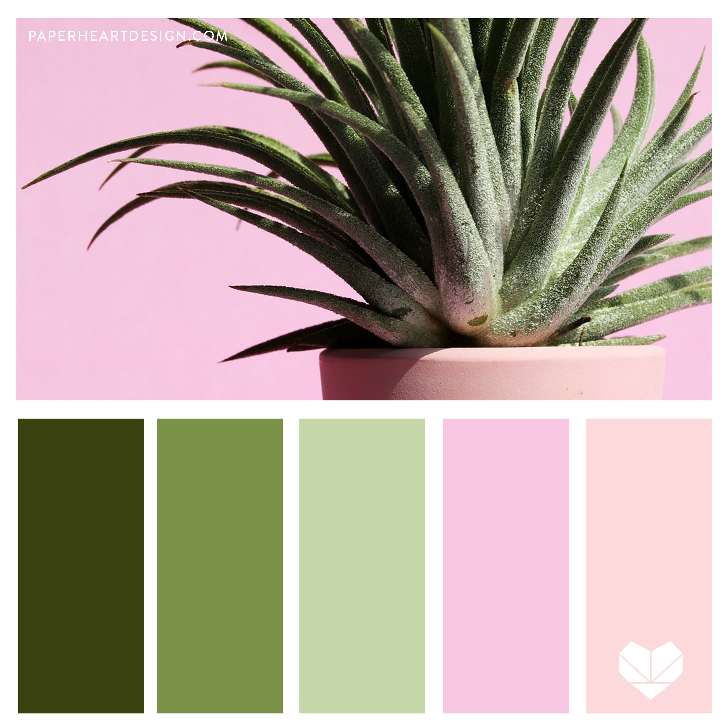 Pastels_Plant SQ.jpg