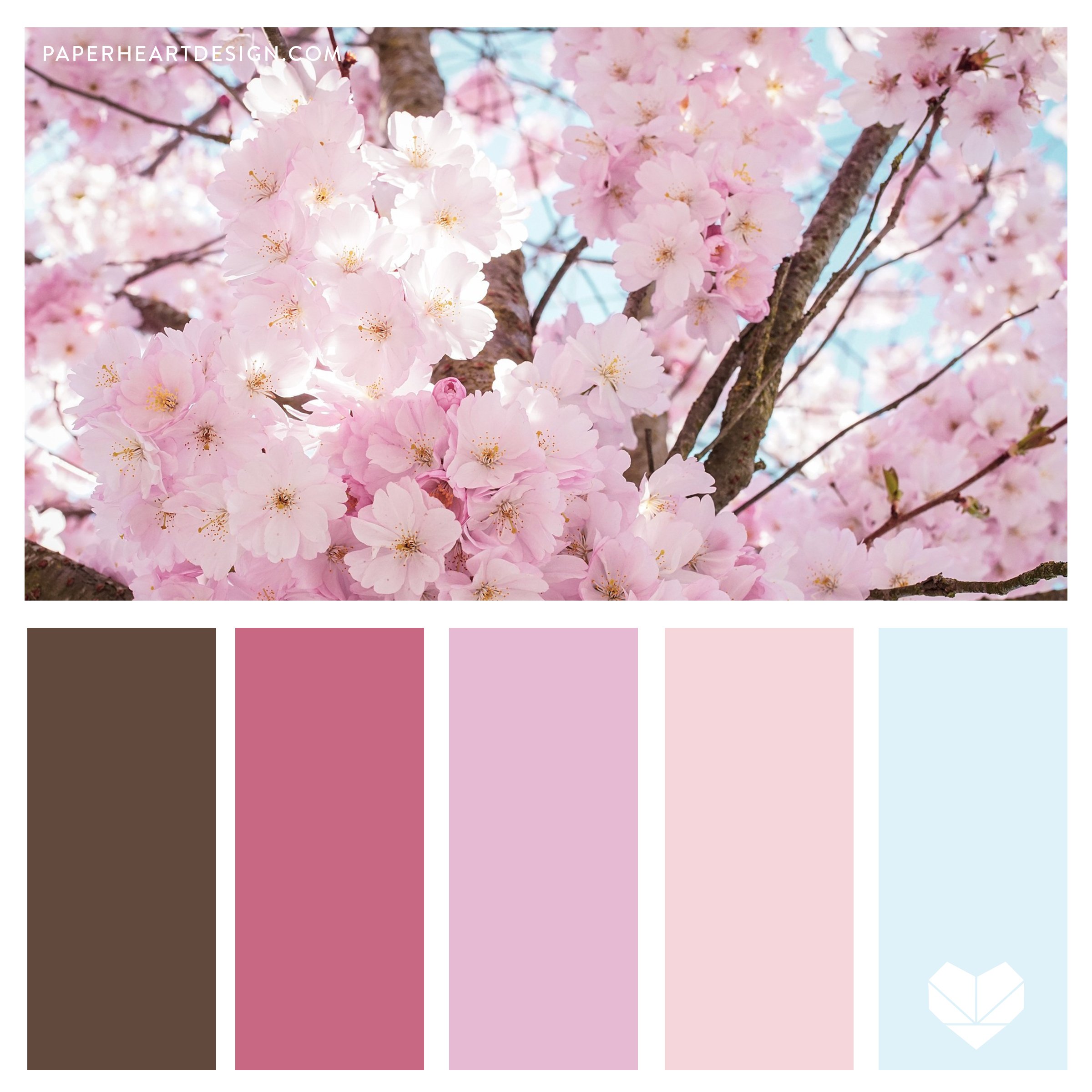 Pastels_Cherry Blossom SQ.jpg