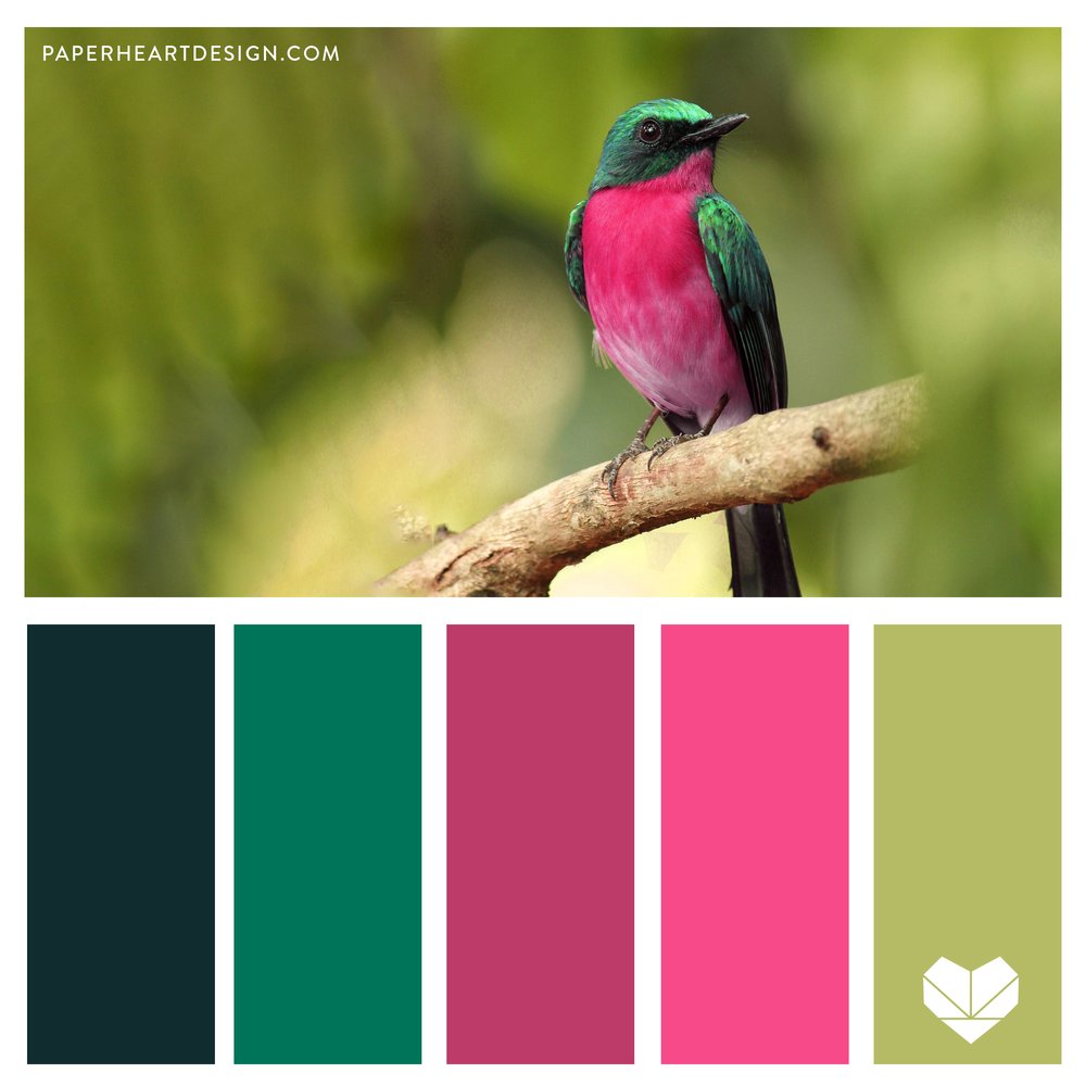 Color Palette: Awesome Space — Paper Heart Design