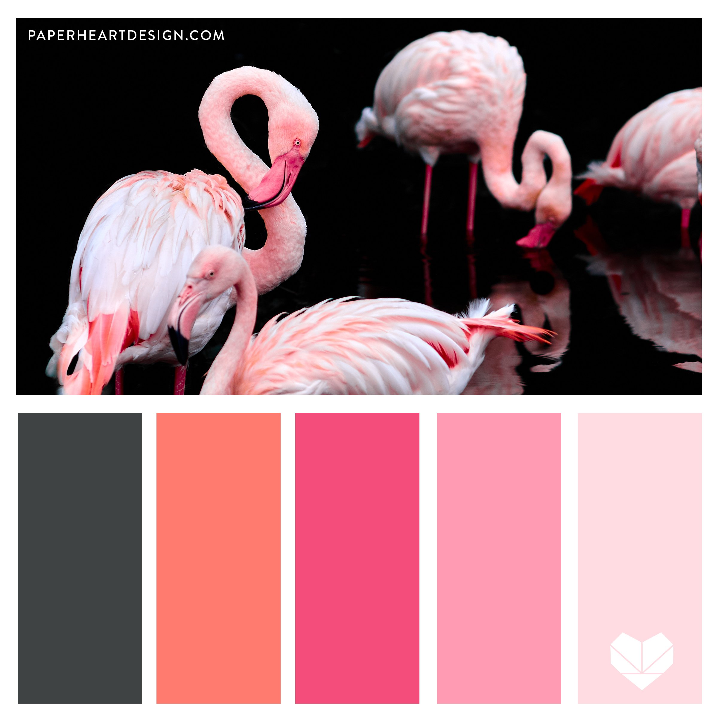 Pink Flamingo SQ.jpg