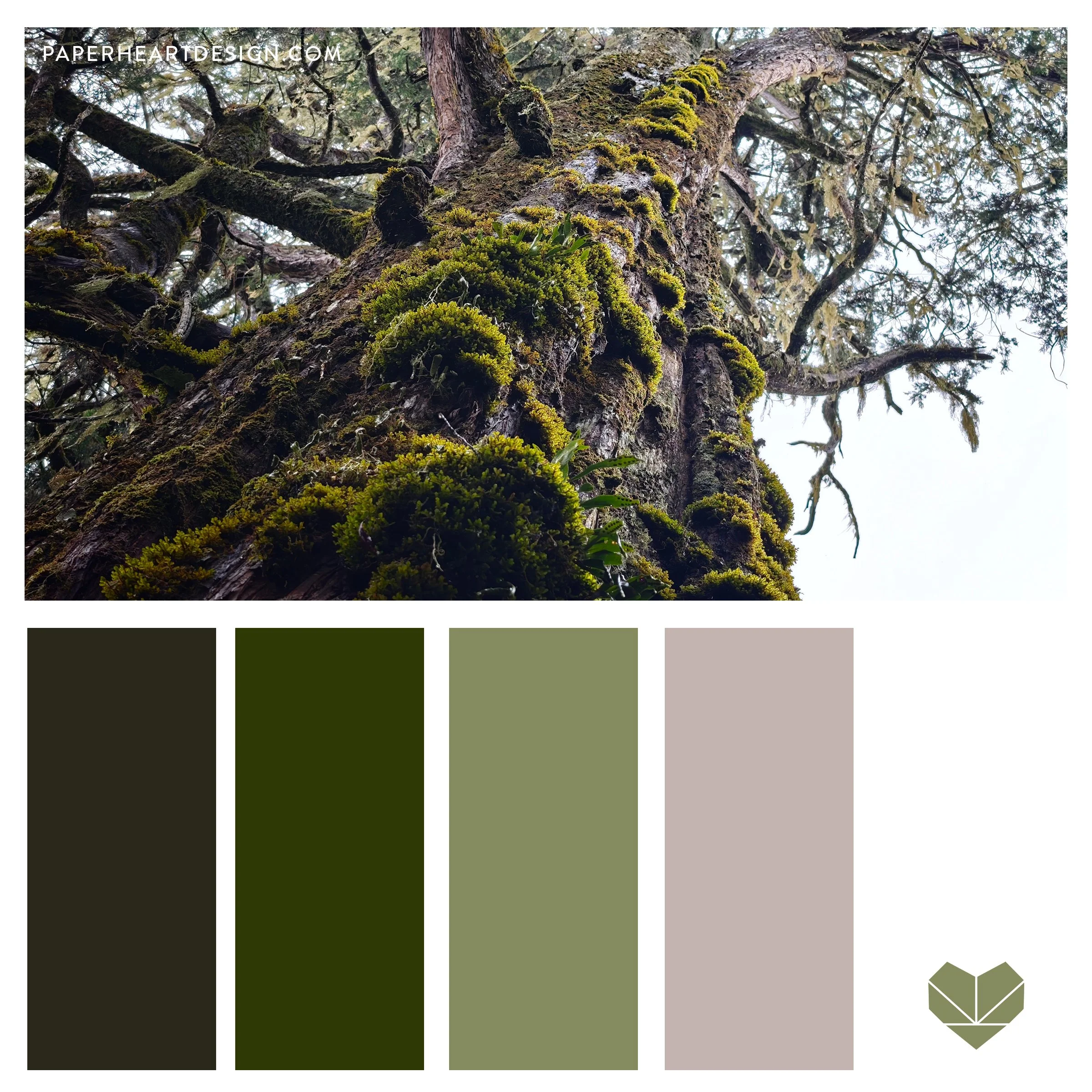 Color Palette: Forest Life