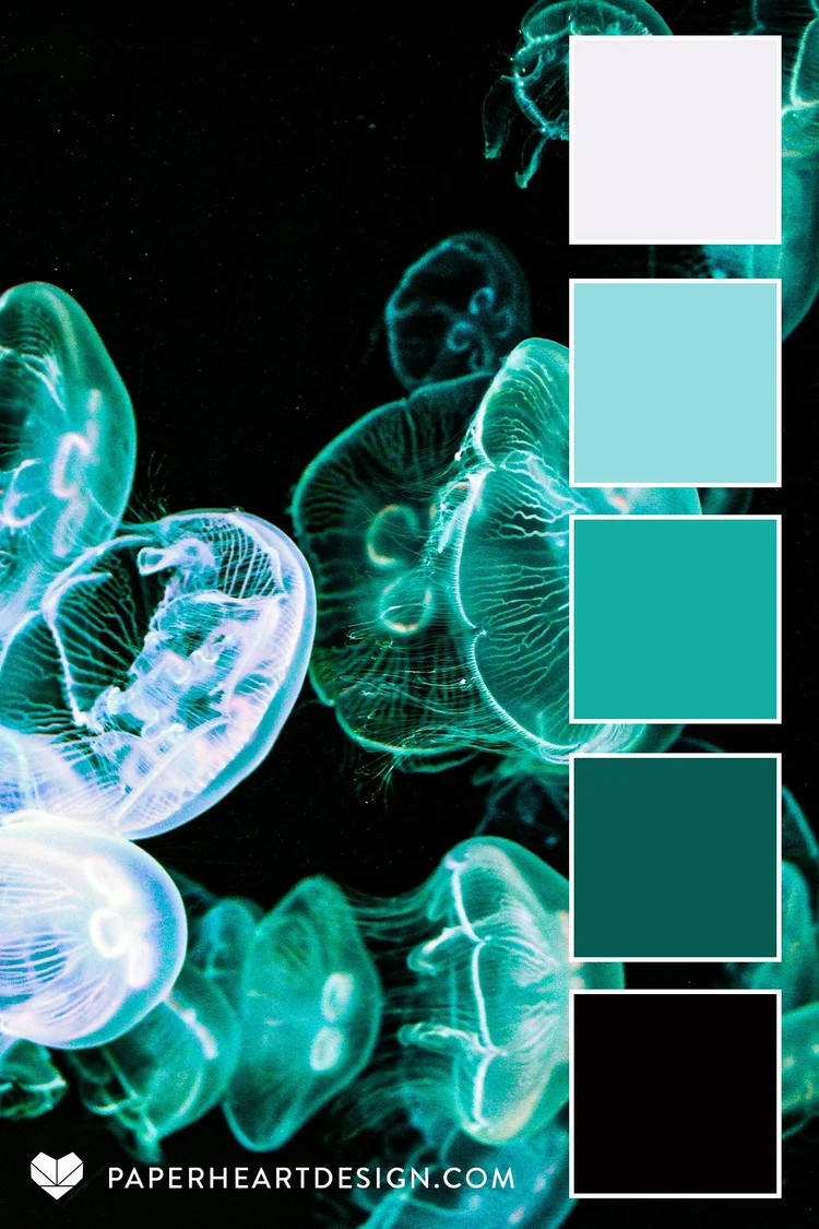 Color Palette: Brilliant Jellyfish — Paper Heart Design Co.