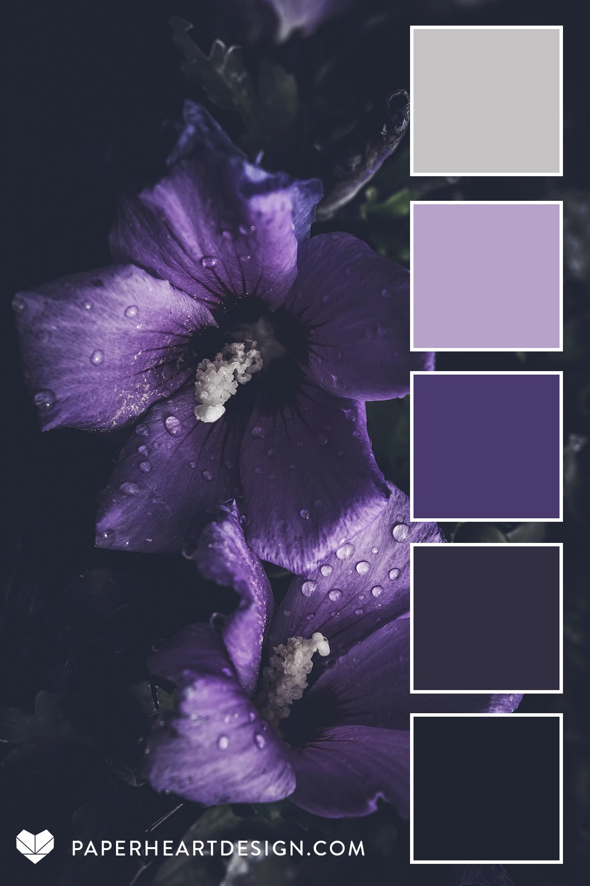Color Palette: Dark + Moody — Paper Heart Design