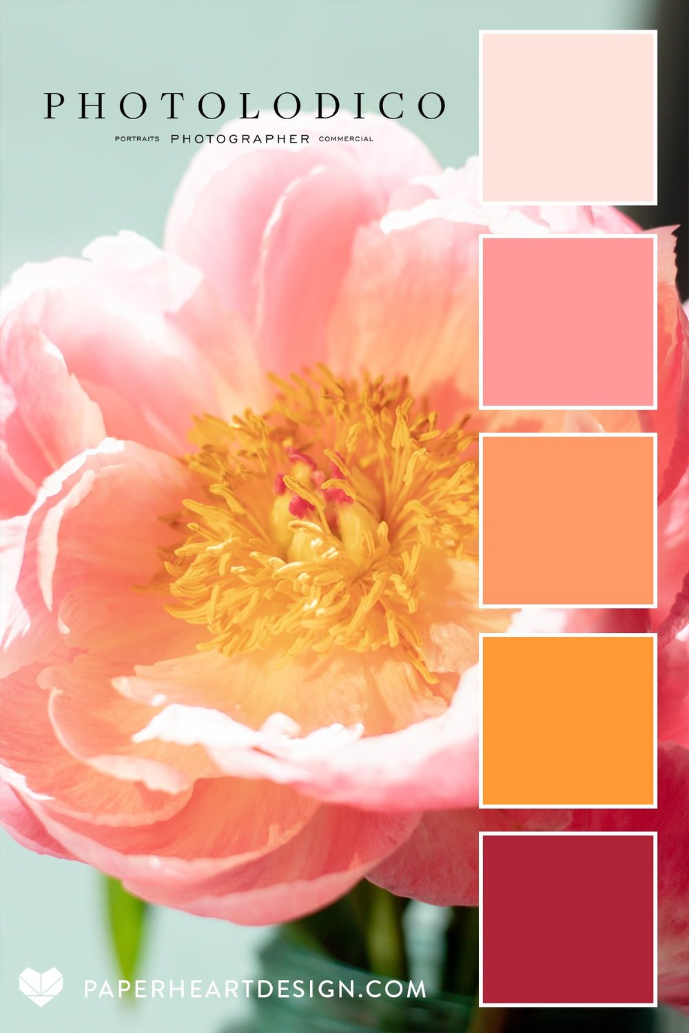 Peony Color Code Color Palette: Perfect Peonies from photolodico — Paper Heart Design Co.