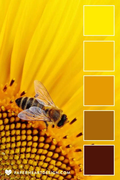 Ffe900 Color Color Palette: Sweet Sunflowers — Paper Heart Design Co.