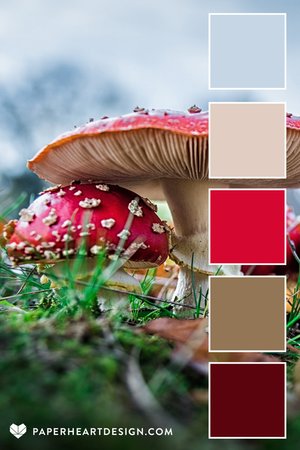 Color Palette: Mushroom Magic — Paper Heart Design