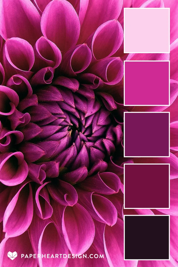 Dhla Color Color Palette: Doting on Dahlias — Paper Heart Design Co.