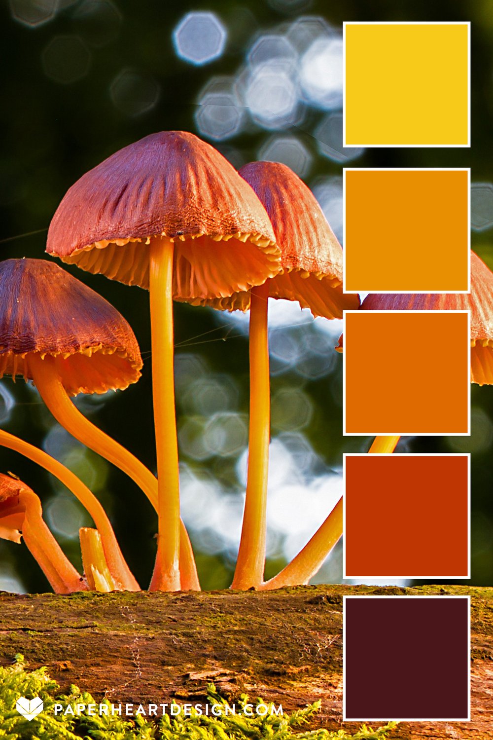Color Palette: Mushroom Magic — Paper Heart Design