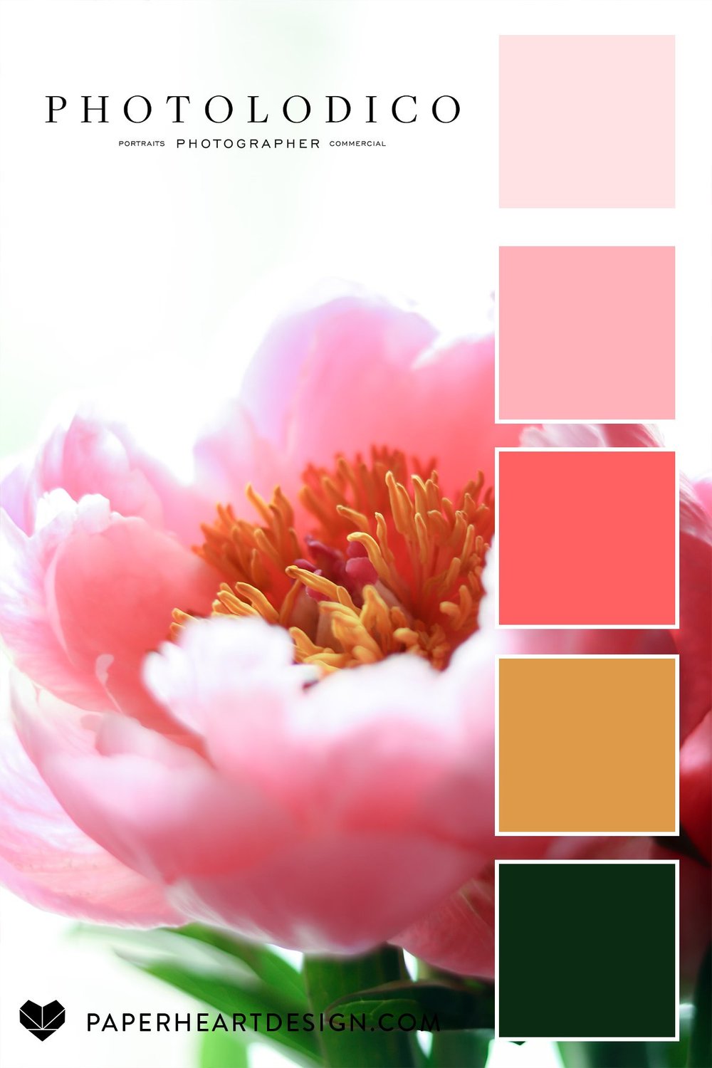 Peony Color Code Color Palette: Perfect Peonies from photolodico — Paper Heart Design Co.