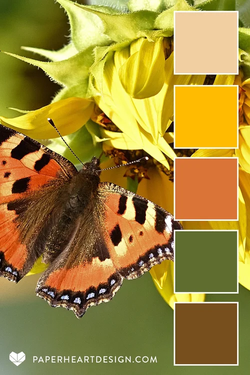Color Palette: Sweet Sunflowers — Paper Heart Design Co.