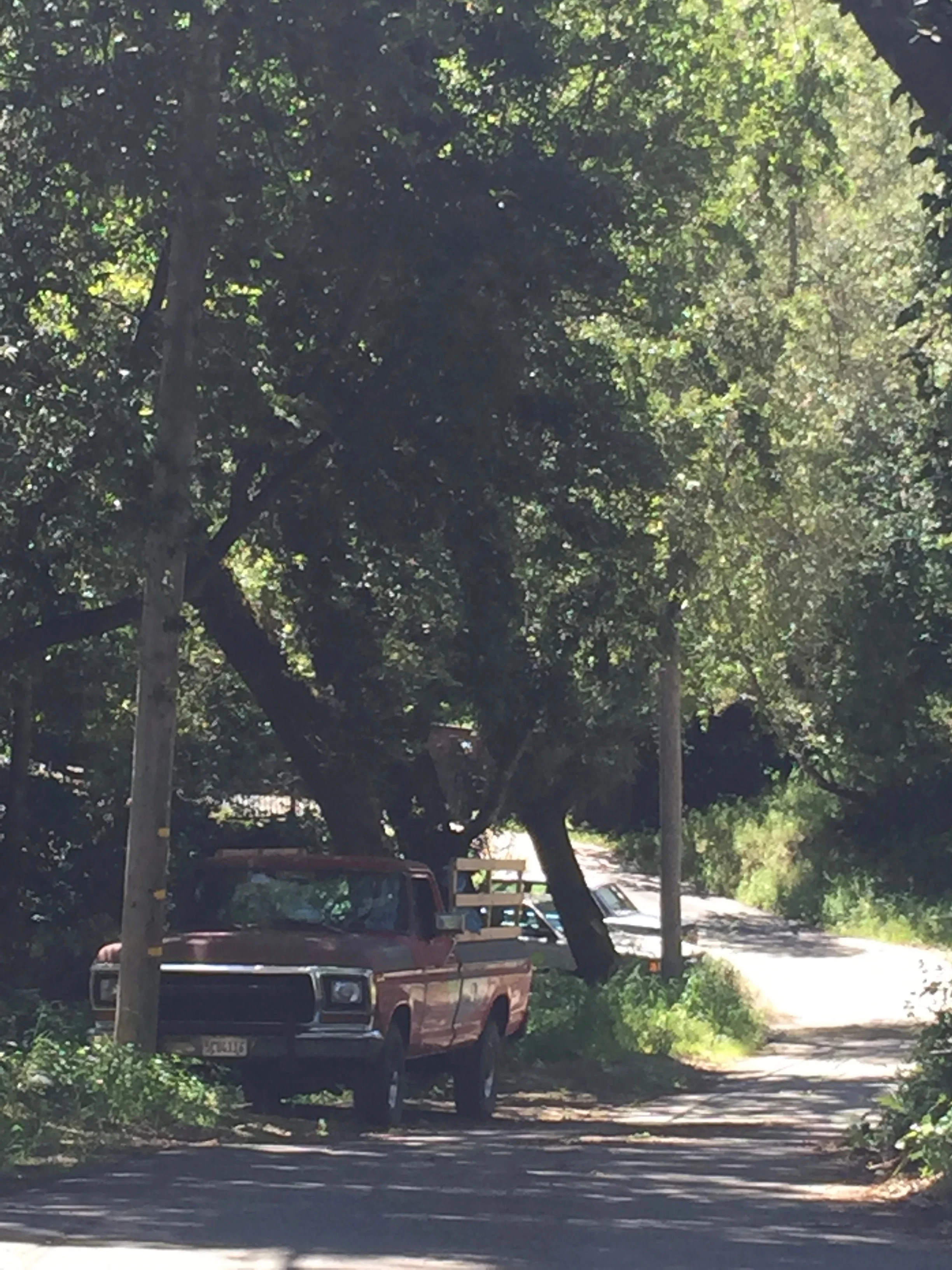 Holy City's neighbors have no need to roll up their truck windows or lock their doors.