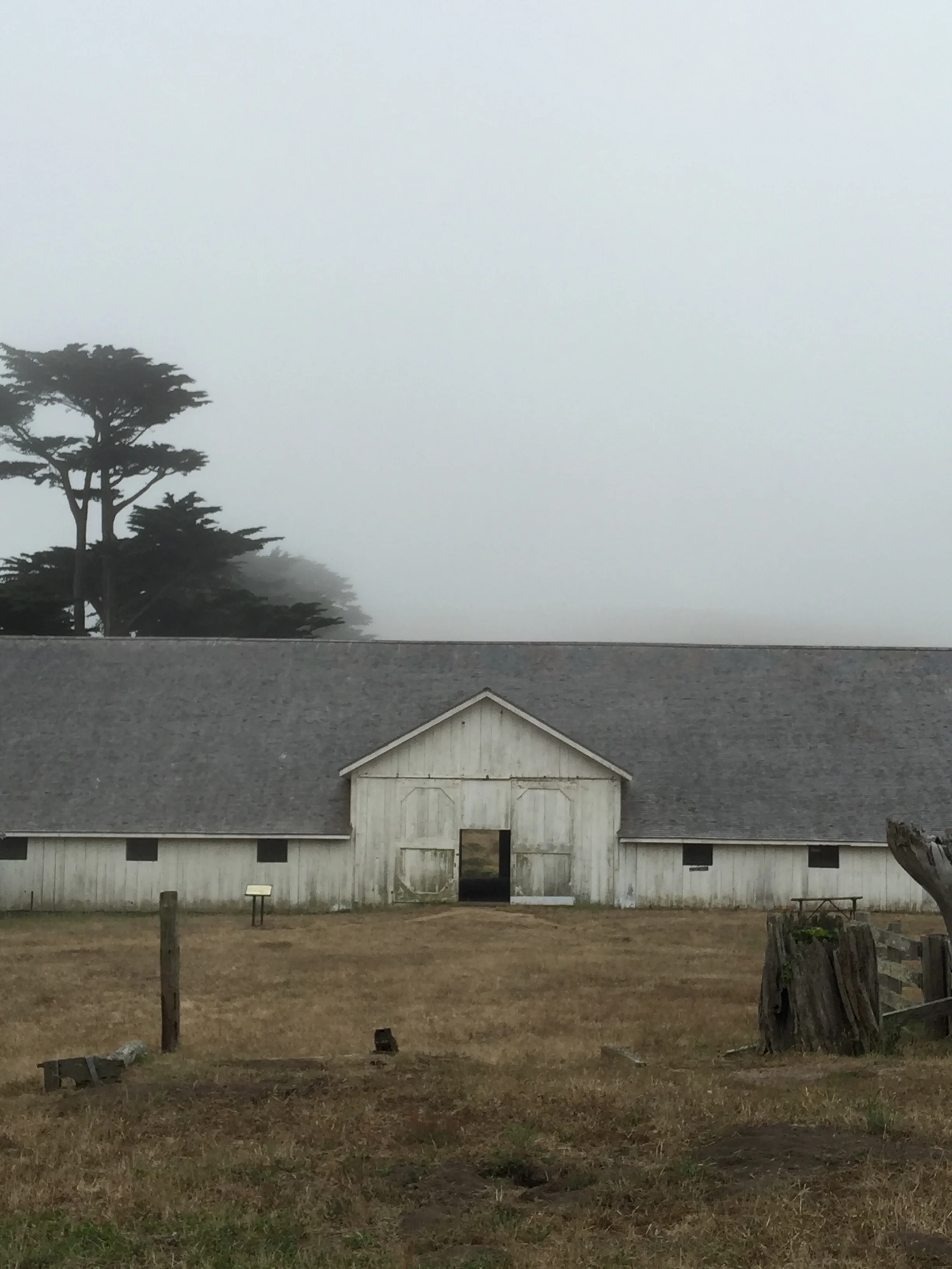 A cow's ghost town equivalent.