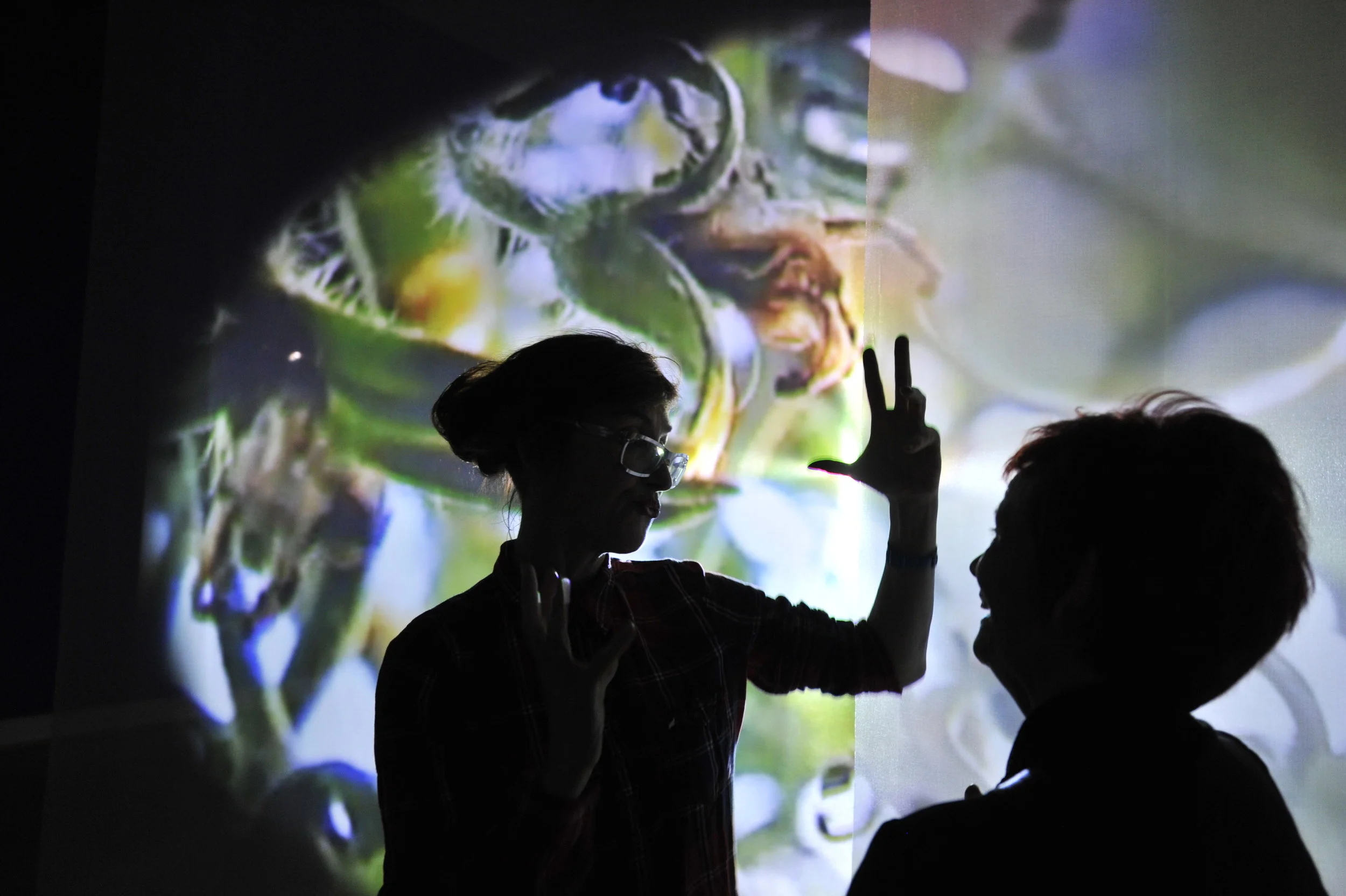 Pippilotti Rist