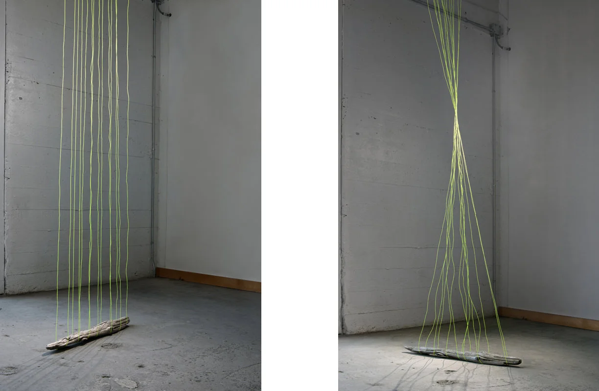 String 01 , String 02 , 2013 Inkjet Prints, 23 x 35in each Studio Studies, Amanda Arcuri
