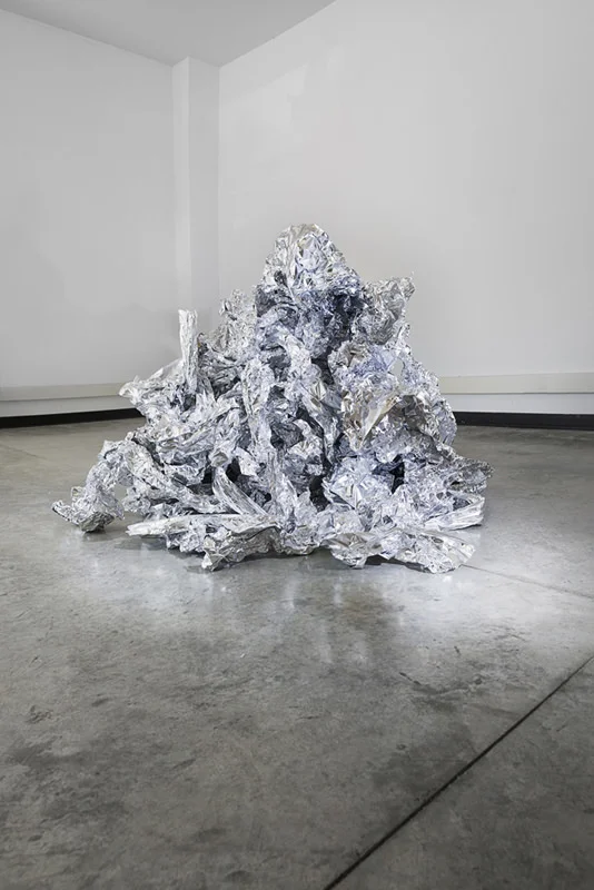   Foil , 2014 Inkjet Print, 26 x 40in Studio Studies, Amanda Arcuri 
