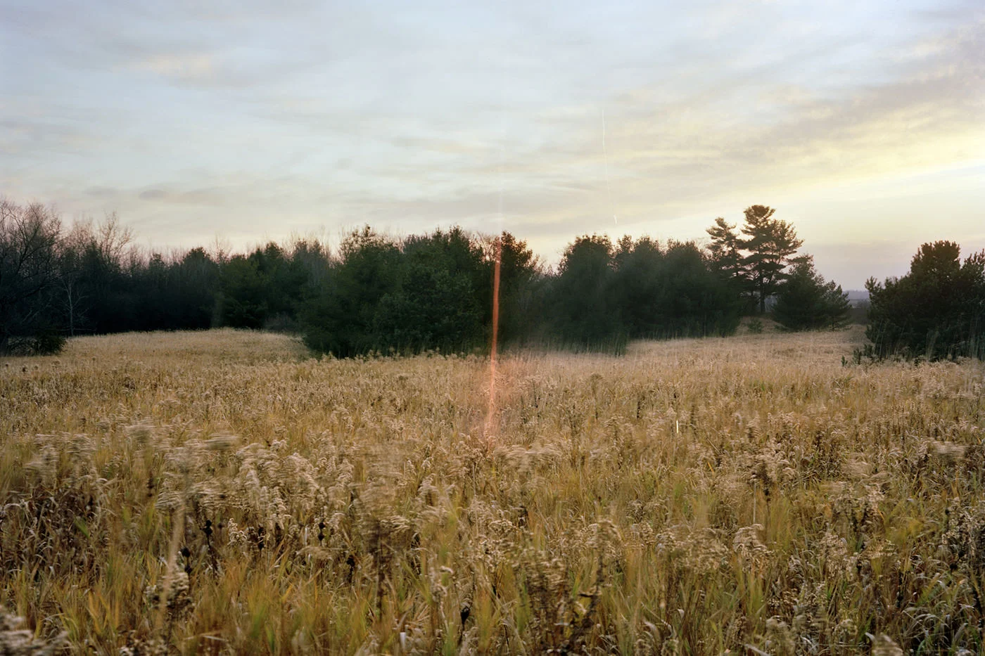 Tall Grass , 2012 Chromogenic Print, 36 x 24in (ed. 15) Fireworks, Amanda Arcuri