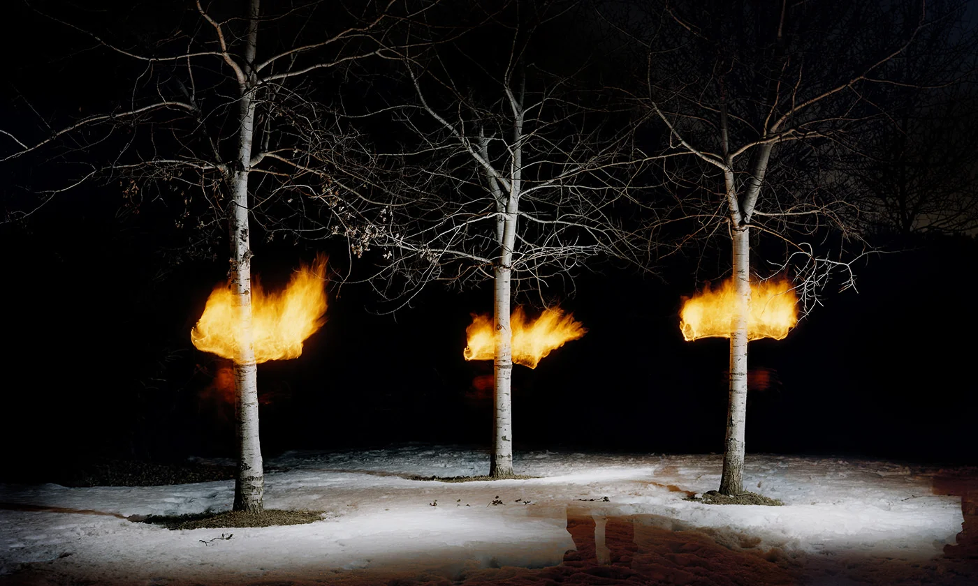 Present in Absence 05, 2008 Chromogenic Print, 47 x 27in (ed. 10) Present in Absence , Amanda Arcuri