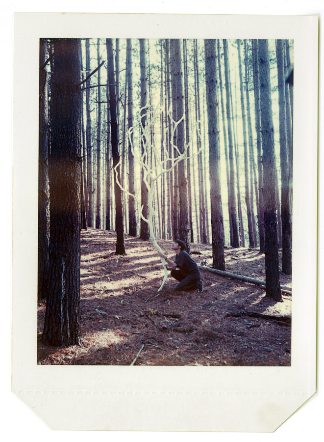 Test Polaroid 02 , 2008 Polaroid, 4 x 5 in Paper Tree, Amanda Arcuri
