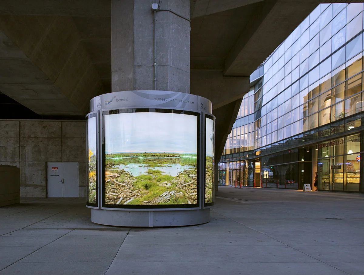 Evening West Dyke Trail : Locally Examined, 2014 Four panel light box column 74.5 x 70.5in each panel. Installation View: Aberdeen Station. Richmond B.C. Canada September 2014.