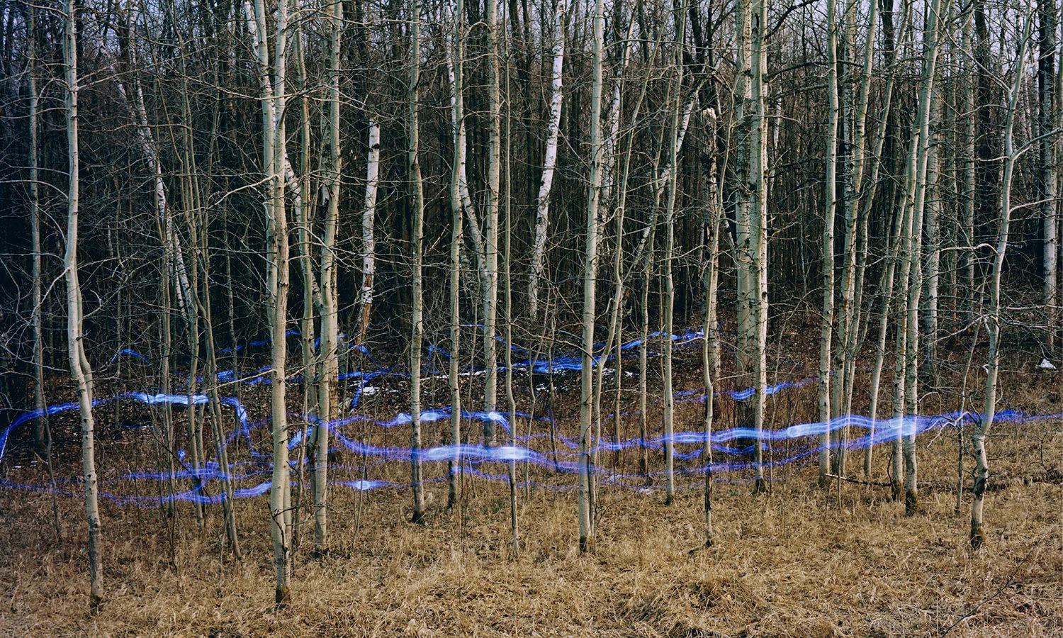 Blue Lines, 2009 Chromogenic Print, 50 x 30 in (ed. 10) Land and Sky, Amanda Arcuri