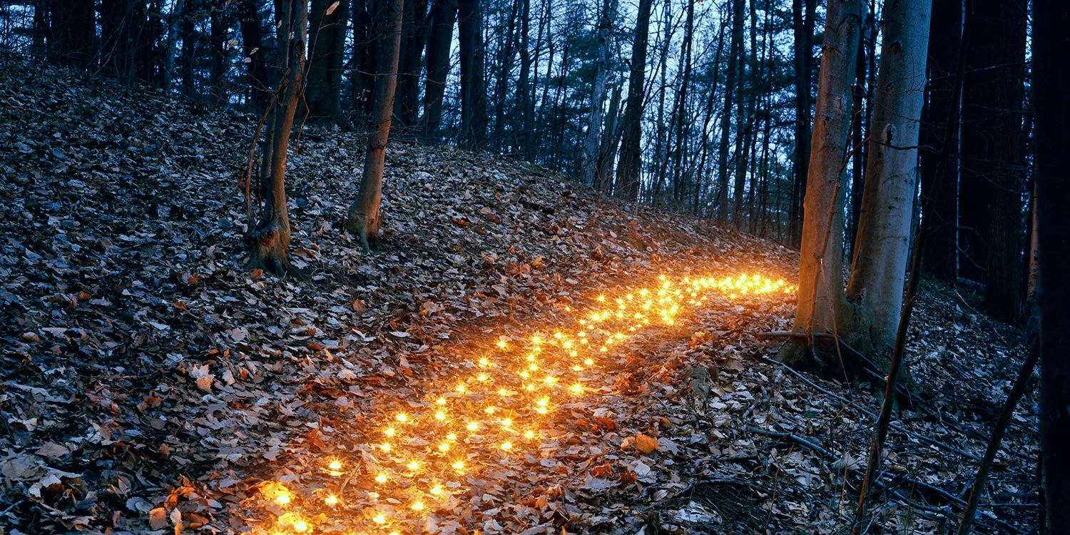 Untitled (Tea Lights) , 2007 Chromogenic Print, 40 x 20in (ed. 10) Forest, Amanda Arcuri