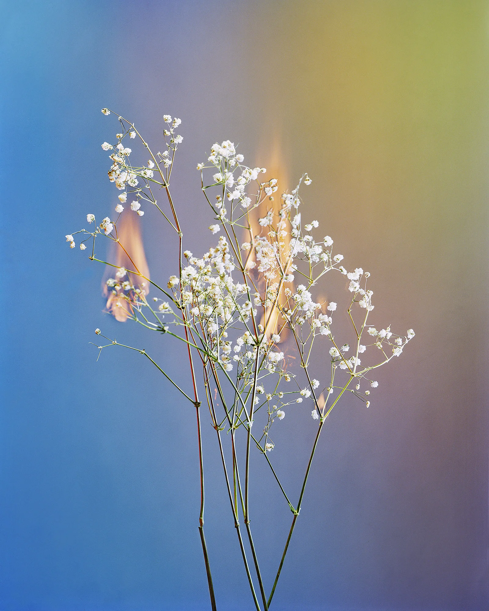 A Shot in the Dark 03, 2018 Chromogenic Print, 40 x 50in (ed. 10) A Shot in the Dark, Amanda Arcuri