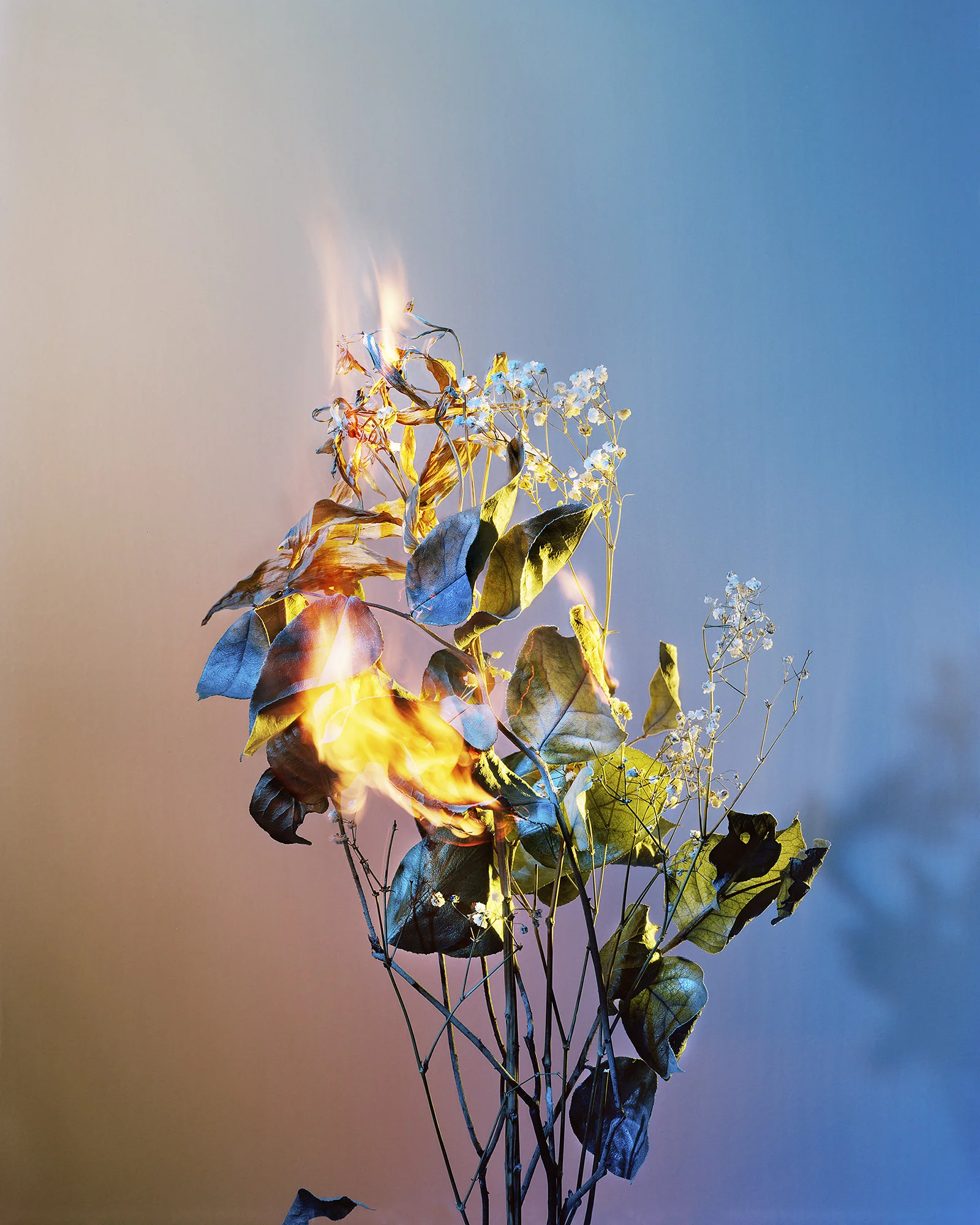 A Shot in the Dark 04, 2018 Chromogenic Print, 40 x 50in (ed. 10) A Shot in the Dark, Amanda Arcuri