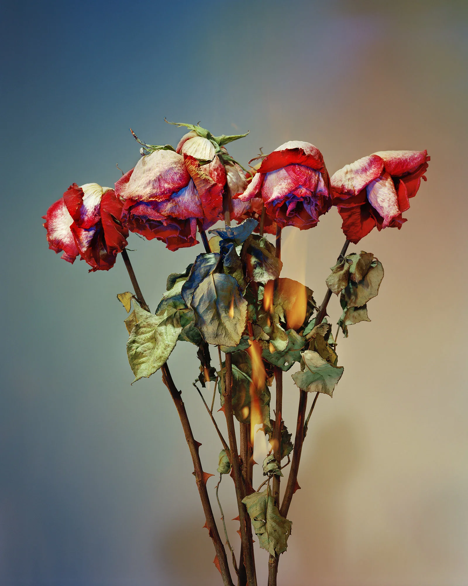 A Shot in the Dark 06, 2019 Chromogenic Print, 40 x 50in (ed. 10) A Shot in the Dark, Amanda Arcuri