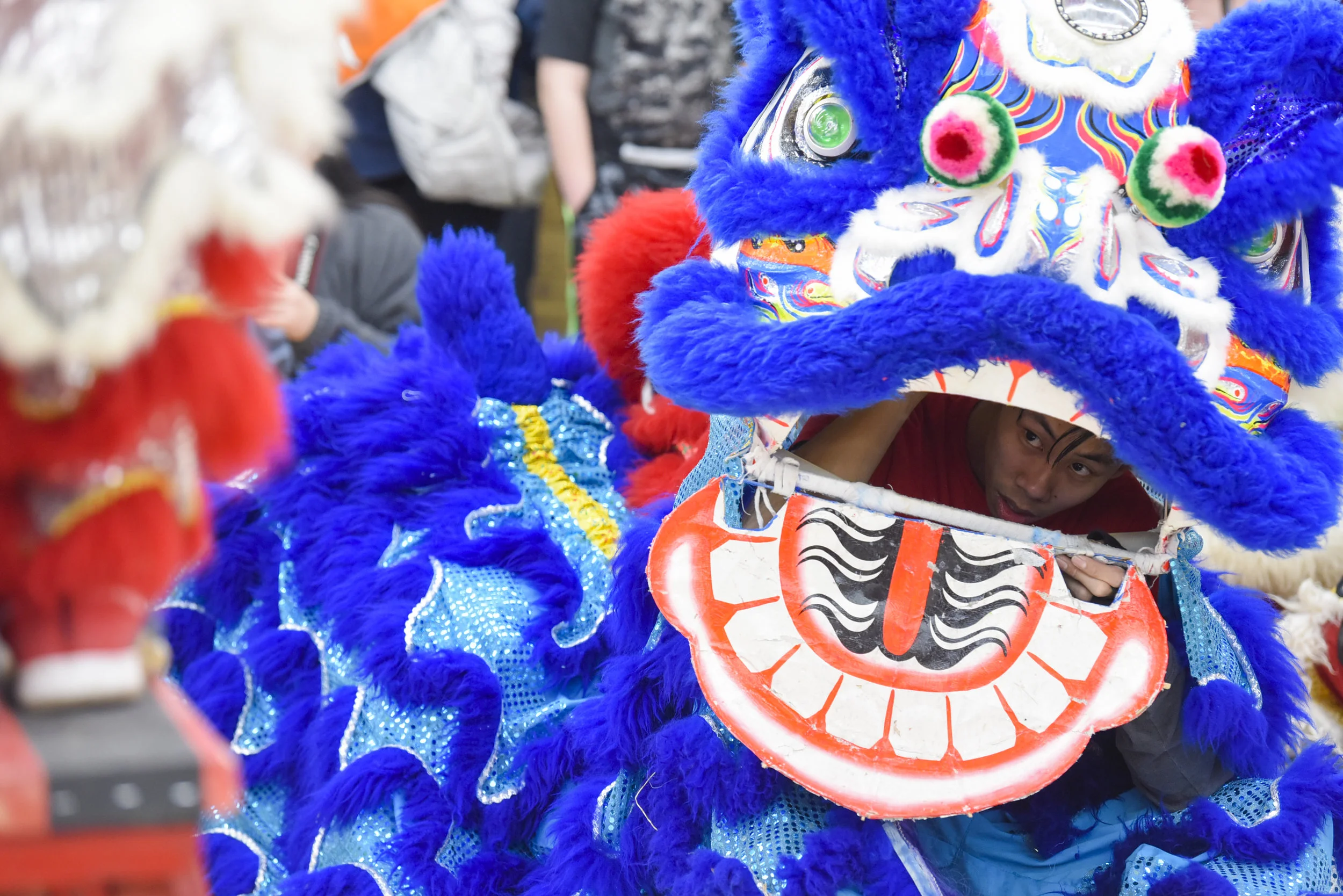  Keeping a close eye on his teammates, Phổ Hiền lion dancer Daniel Van opens the lion's mouth to see whether the silver-lion stunt duo lands its new move on Saturday, Feb. 17, 2018 at 888 International Market in Kansas City. The "varsity team" member