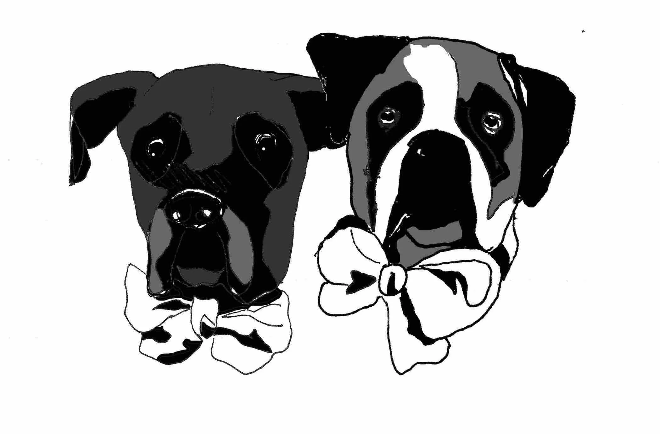 dog portrait.jpg