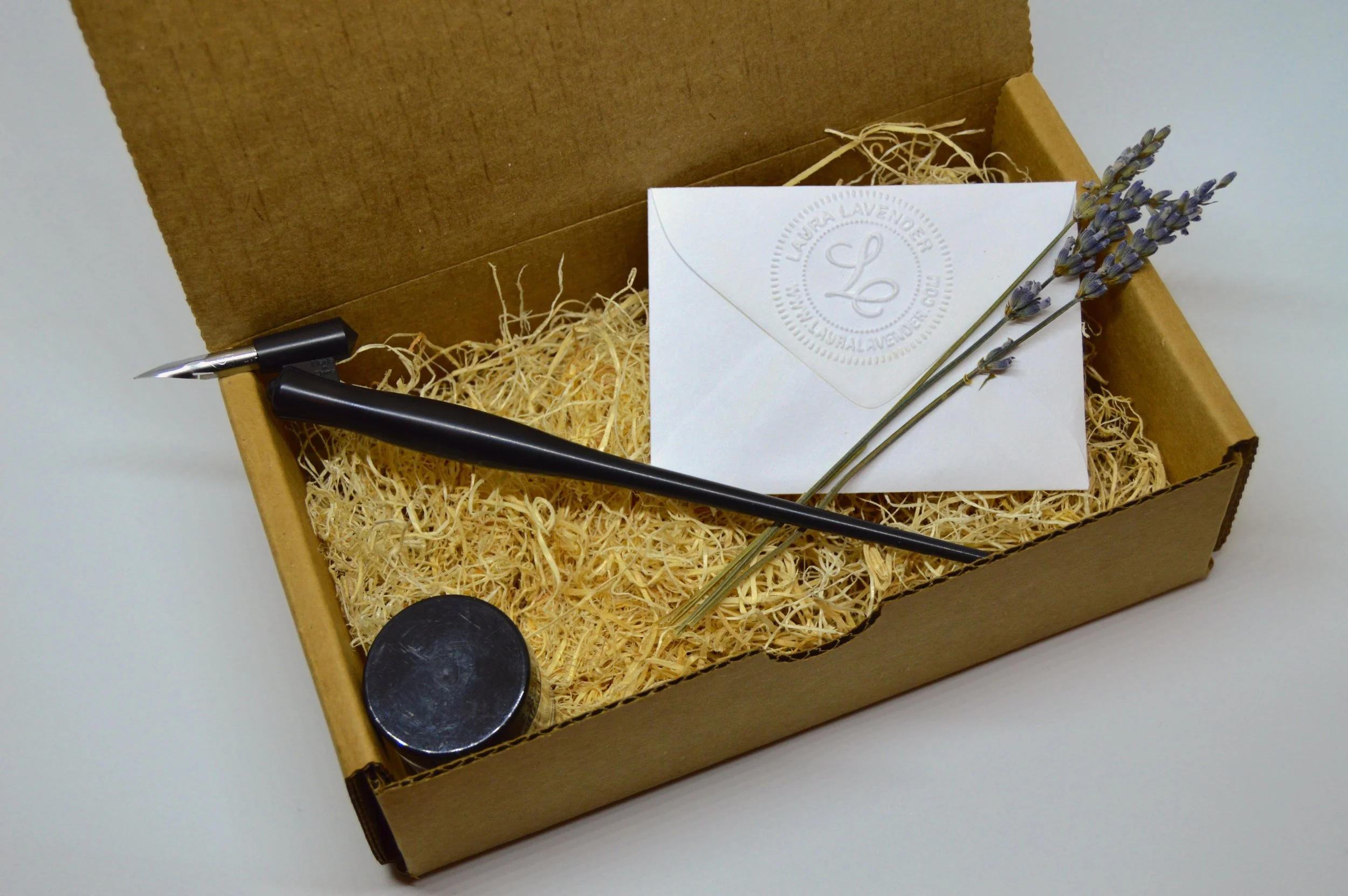 plastic pen- calligraphy kit.jpg