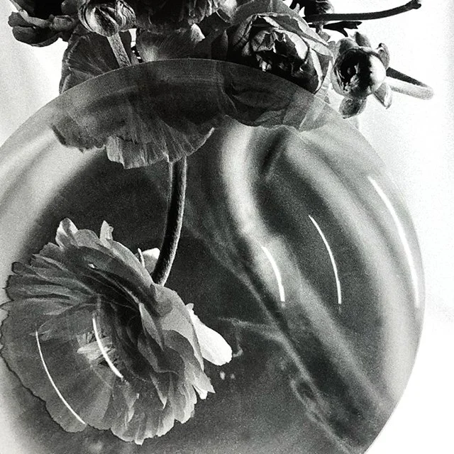 course-image_still-life-of-film_10-2026_15.jpg