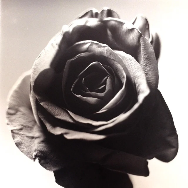 Into the Dark / October