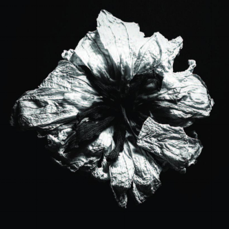 flower.jpg