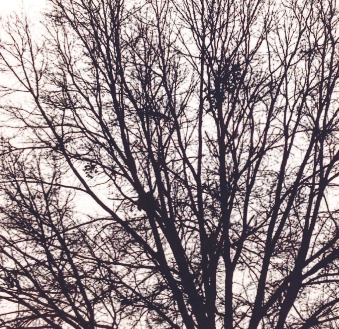 Into the Dark / April