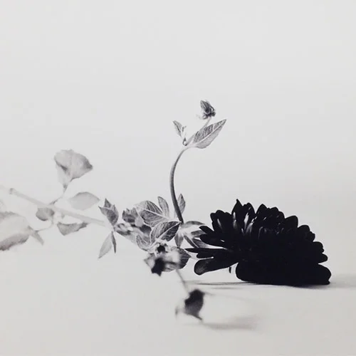 Pushing Film / June