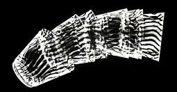 cover-image-photograms.jpg