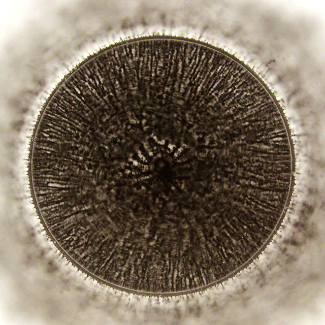 course-image2.jpg