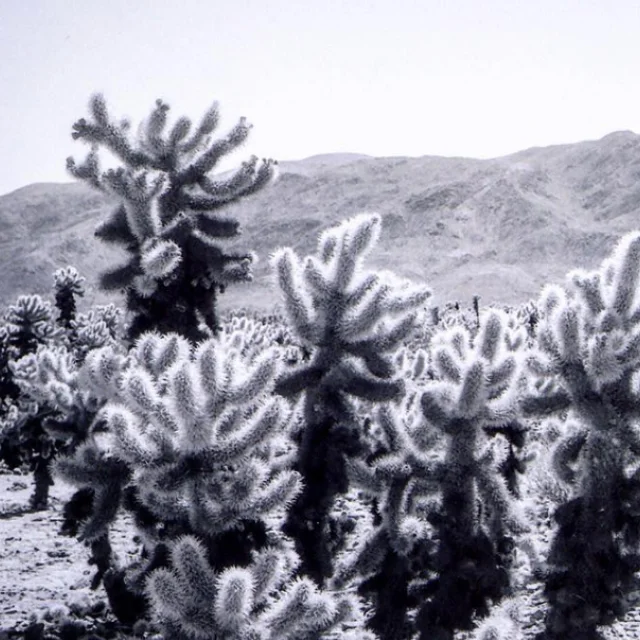 course-image18.jpg
