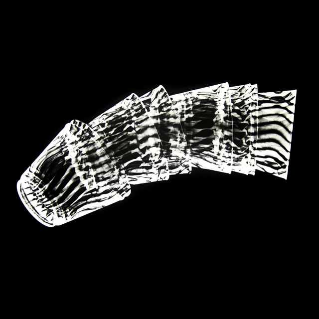 Photograms Workshop / October 7