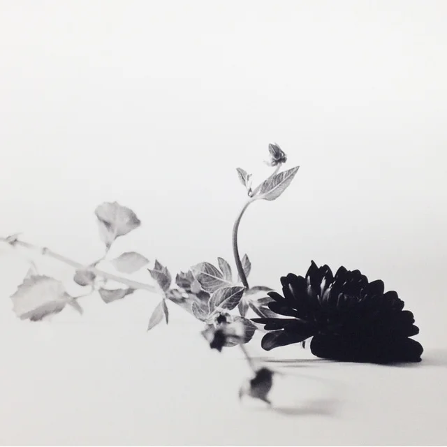 Into the Dark / November