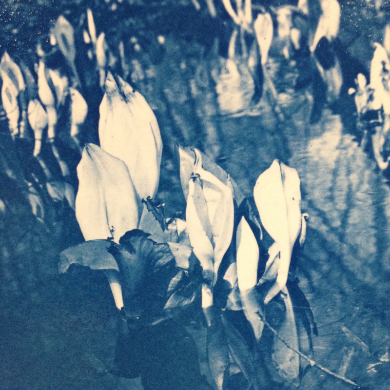 alternative-processes-feb-2108-images3.jpg