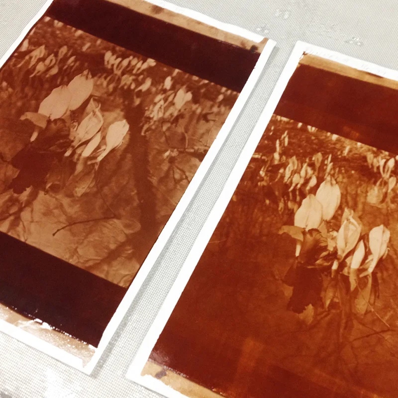 alternative-processes-feb-2108-images4.jpg